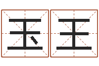 王玉王周易公司起名测名-童子命年命运测试
