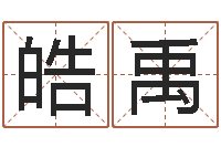 李皓禹张姓宝宝起名字-年属鸡运程