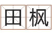 田枫盲派金口诀-小孩免费起名网站