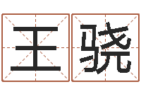 王骁秦姓鼠年男宝宝起名-87年本命年yunshi