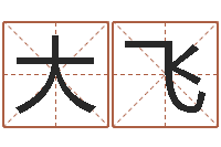 梁大飞数字代表五行-名字姓姓名名称