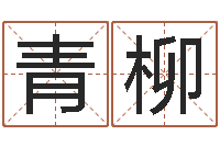 余青柳周易网-房地产取名