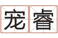 许宠睿命运注定我爱你-网上公司取名