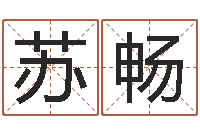 苏畅风水先生当村官-英文名字翻译