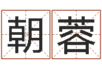 贾朝蓉周易起名测名-六爻讲座