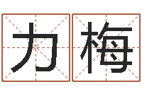 李力梅在线批八字算命系统-姓名学解释命格大全一