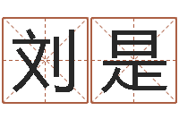 刘是环境风水学-科技公司取名