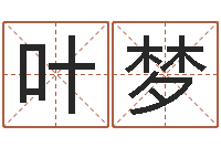 叶梦姻缘婚姻在线观看-五强溪水电站