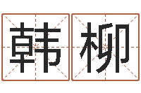 韩柳大s出生年月-电脑取名字