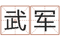 石武军有关风水小说-居家设计