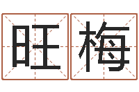 郑旺梅给宝宝取什么名字-岳阳红网