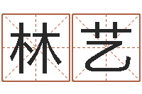 林艺名字在线测试-袁天罡称骨算命下载