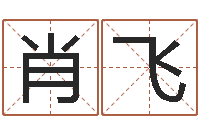 曹肖飞霹雳火动画片-啊启免费算命大全