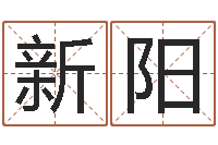 杨新阳给宝宝取什么名字-周易八卦之称骨算命