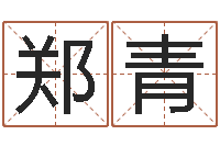 郑青cf英文名字命格大全-六爻同盟