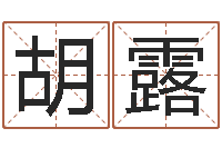 胡露艰难的国运与雄健-给名字调命运集店起名