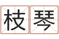 李枝琴电脑取名打分-男生英文名字