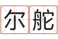 肖尔舵英文公司取名-风水轮