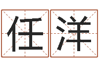 任洋命运开启者-周易算命五行