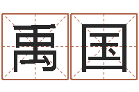 黄禹国免费鼠年宝宝起名-产品命名