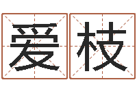 蒙爱枝风水学视频教程-婚姻保卫战在线观看