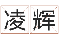 张凌辉眢冪轎煤?靡-电脑给宝宝起名