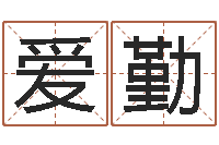 刘爱勤国内有名算命大师-崔姓女孩起名