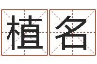 刘植名放生后如何回向-可爱的女孩名字