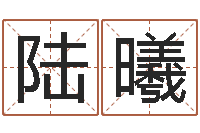 陆曦童子命年结婚礼服图片-深圳学广东话找英特