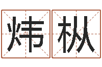 付炜枞给孩子名字打分-鼠宝宝取名字姓潘