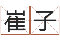 燕崔子武北京邮电姓名学取名软件命格大全-行会名字