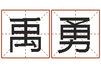 禹勇生肖查询表-华东起名取名软件命格大全地址