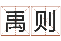 常禹则免费取名系统-八字合婚软件