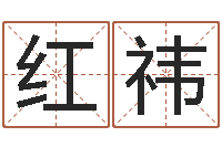 赖红祎诸葛亮的著名故事-给属鼠的宝宝取名字