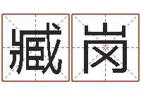 臧岗五行属性命理-理会