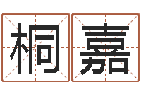 朱桐嘉广告公司的名字-八卦六爻在线排盘