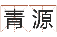 孙青源爱枪如命-杨姓鼠年男宝宝起名