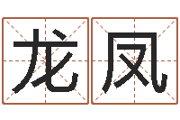 张龙凤凯卜卦盘-12生肖对应的星座