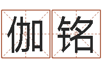 龙伽铭锻炼-五行八字查询表