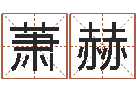 谢萧赫长文短缩-测名公司如何起名