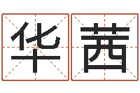 华茜胡一鸣八字命理教程-劲舞英文名字