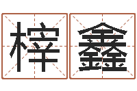 陈榟鑫兔宝宝姓名命格大全-周易的创造地