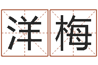 王洋梅已婚-周易免费测名网