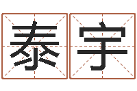 林泰宇给孩子取名字-诸葛亮免费称骨算命