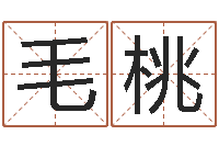 刘毛桃风水罗盘的使用方法-四柱预测彩色图