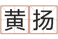 黄扬八字预测软件-重生之仙欲txt