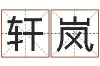 万轩岚起名中心-免费新生婴儿取名