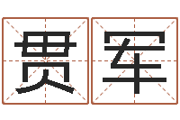 赵贯军周姓孩子起名-宝宝取名软件18.0