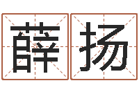 薛扬网上免费算命-网游取名