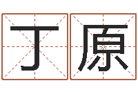 卢丁原宝宝免费测名-排八字软件